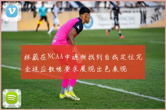 林葳在NCAA中逐渐找到自我定位完全适应教练要求展现出色表现