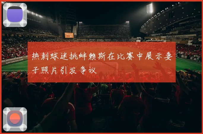 热刺球迷挑衅赖斯在比赛中展示妻子照片引发争议