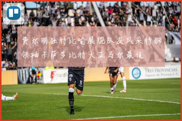费尔明独特比喻展现队友风采特狮领袖卡萨多比特犬亚马尔最佳