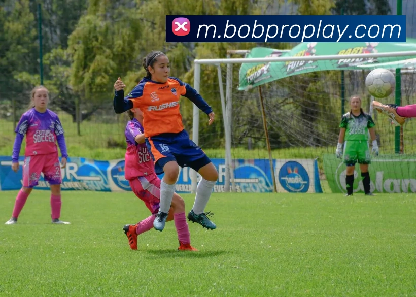 BOB体育APP 封面图